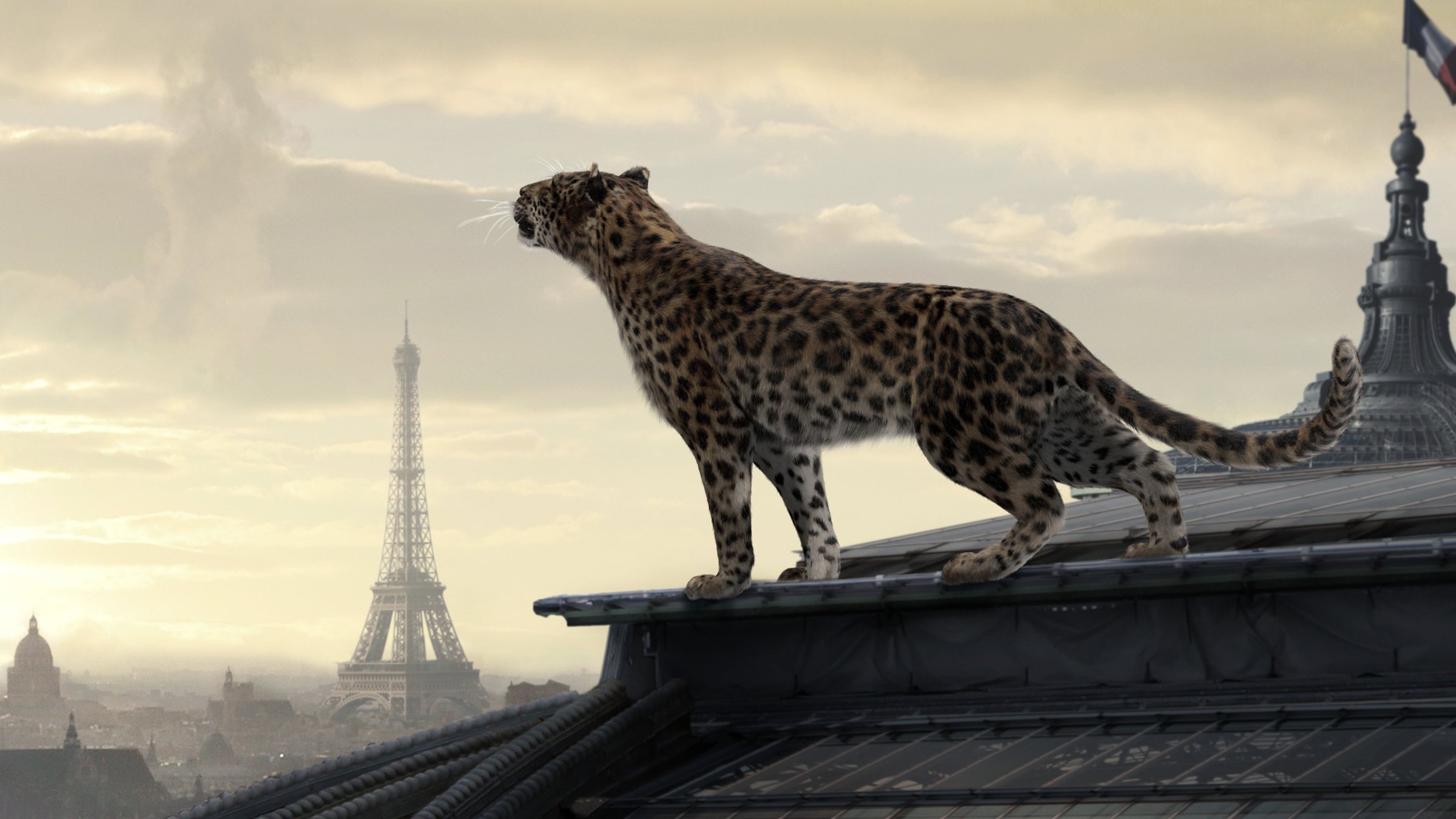 Cartier — présentation de séminaire, visuel 1