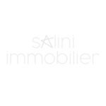 logo salini